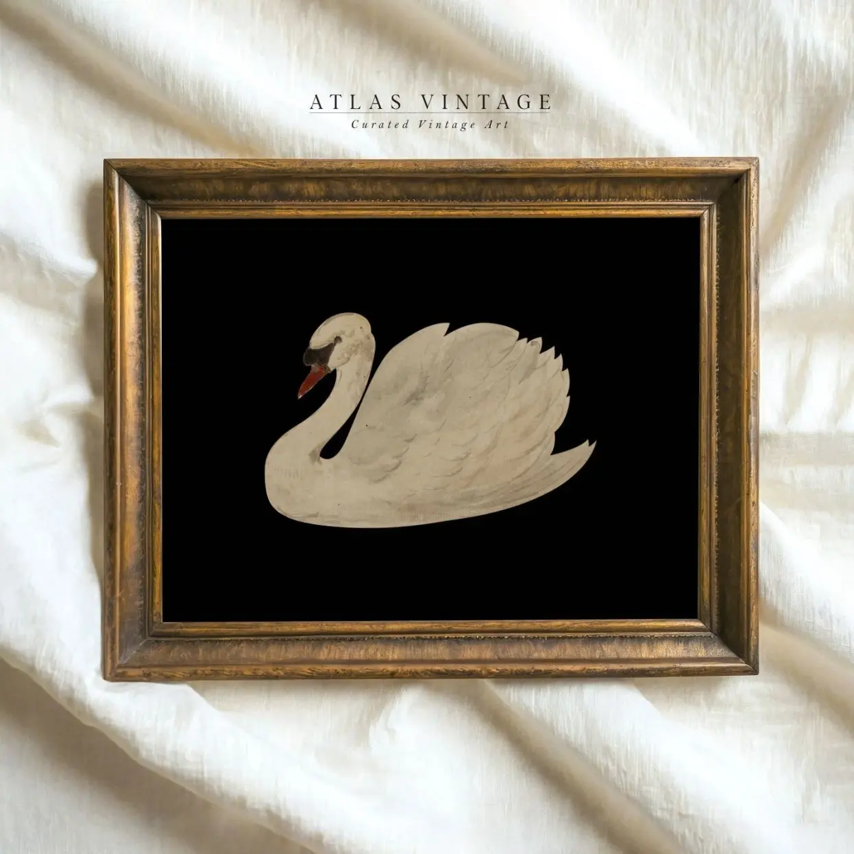 Vintage White Swan Wall Art, Minimalist Watercolor Bird Poster, Neutral Farmhouse Decor | Frameless Poster D
