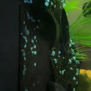 Aquarium Cave System with Bio-curved Tunnels, Expandable Natural Shelter for Large Fish Tanks, Non-toxic Resin Decor for Cichlids/Plecos/Shrimp, Natural Habitat