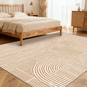 PLUMLIK Soft Non-Slip Low Pile Area Rug For Living Room, Modern Style Rugs safety For Bedroom, Non Slip Home Decor Aesthetic Carpet, Washable Indoor Outdoor Carpet, Ideal for Spring Home Decor, Mother’s Day and Easter Gift