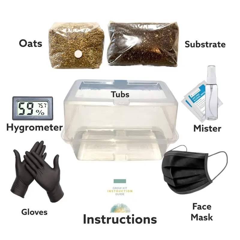 The DubTub | Sterilized Grain Bag | Pasteurized Substrate | Tubs | Supplies