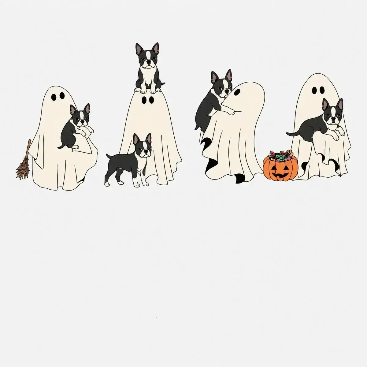 Boston Terrier