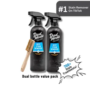 Deep Stain Remover Dual Pack + Stain Brush Spring Cleaning Bundle Mold