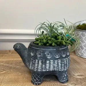 Cement Turtle Planter