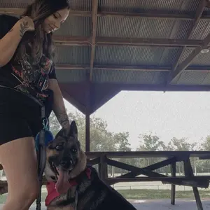 Product Review of iYoShop Hands Free Dog Leash with Zipper Pouch, Dual Padded Handles and Durable Bungee for Walking, Jogging and Running Your Dog from K**n