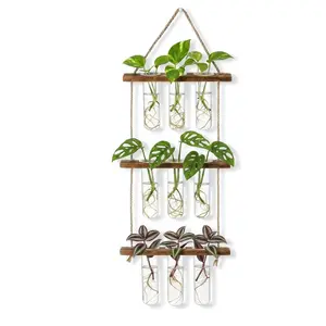 SAN Tread Wall Hanging Propagation Station with Wooden Stand and 9 Glass Test Tubes, Tiered Planter Wall Terrarium for Hydroponic Cuttings, Flowers and Indoor Plants, Home Office Wall Decor