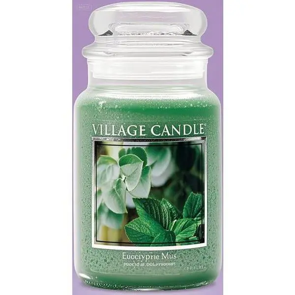 Eucalyptus Mint Scented Candle in Large Glass Jar, 21.25 oz Aromatherapy Candle, Green Relaxing Fragrance, Long-Lasting Soy Wax Candle, Home Decor Gift Idea