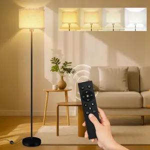 Stepless Dimmable LED Floor Lamp with Remote Control