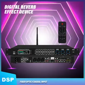 KT9000 Professional Digital Audio Equalizer with Noise Reduction, Feedback Suppressor, and Preamplifier for Stage Performance and KARAOKE