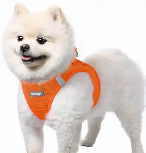 rabbitgoo Minifit Small Step-in Dog Harness