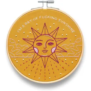 I'm A Ray of F'n Sunshine Embroidery Kit | Funny Beginner  Work Starter Set for Adult | Needlepoint DIY Arts and Crafts | Cross Stitch Set with Hoop Floss  Threader Printed Fabric