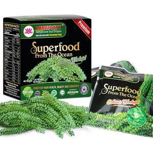 LONGEVITY Dehydrated Sea Grapes, 1.4 oz of (Pack of 2), Umibudo Green Caviar, Lato Seaweed | Enhance Health, Boosting Immune System, Valued Natural Gift From Sea (Original, 40g)