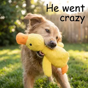 Squeaky Plush Duck Dog Toy for Small Medium Large Dogs, Soft Chew Dog Toy with Squeaker, Interactive Dog Toy for Boredom, Stuffed Puppy Toy for Indoor Play, Cute Dog Companion Toy for Daily Chewing and Play