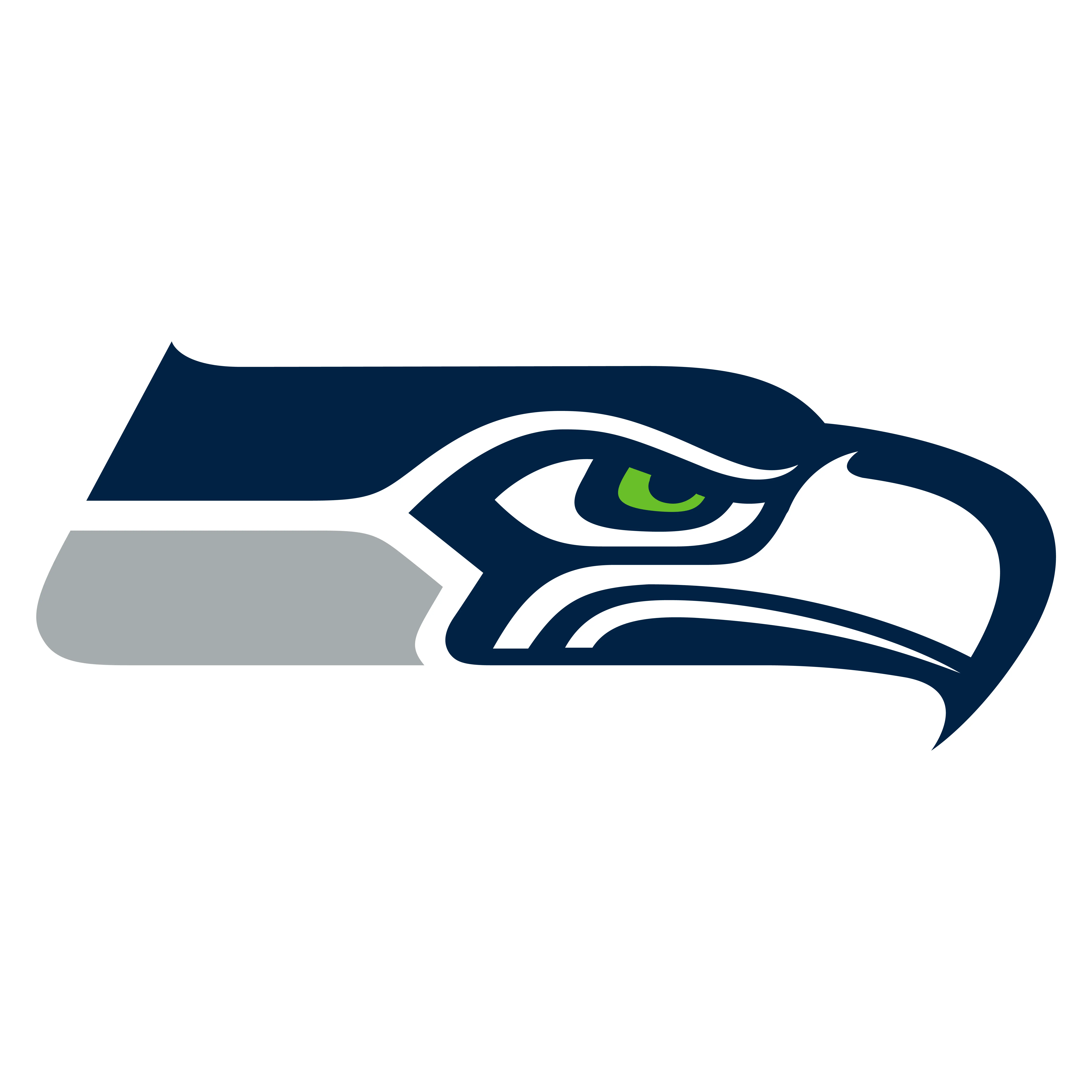 SEAHAWKS