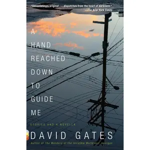 USED-A Hand Reached Down to Guide Me: Stories and a Novella by Gates, David (Paperback)