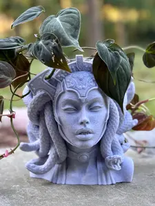 Medusa Planter for Indoor Plants and Decor