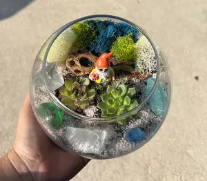Terrarium Kit, Glass Terrarium, Beach Gnome Terrarium Kit