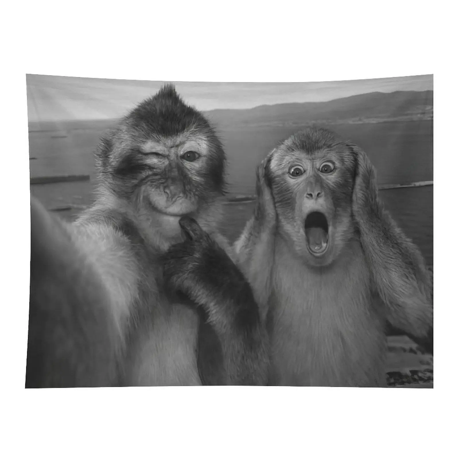Funny Black And White Selfie Monkeys Wall Tapestry, Humorous Monkey Portrait Art Wall Hanging For Dorm Bedroom Aesthetic Decoration