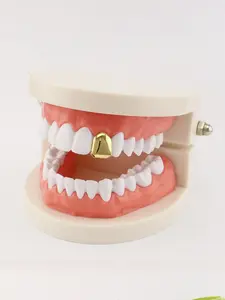 Hiphop Gold Teeth Grillz Single Tooth, Rapper Style Gold Teeth, Streetwear Trendy Personalized Jewelry, Real Gold Plated, All Seasons, Punk Style