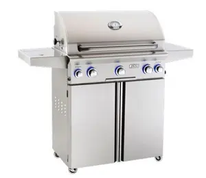 American Outdoor Grill 30 Inch Portable Stainless Steel Propane Grill with Rotisserie Backburner and Backlit Knobs