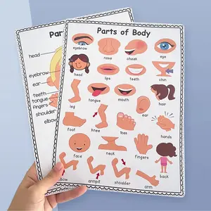 Set of 2 A4 Colorful Anatomy Posters for Kids, Educational Charts for Preschool and Kindergarten Classrooms, Fun Learning Tools, Teaching Supplies