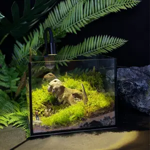 LED Terrarium Glass Jar for Succulents & Moss7.9*5.9  Adjustable Light Vintage Design Cozy Home Office Gift #AestheticRoom #DeskDecor