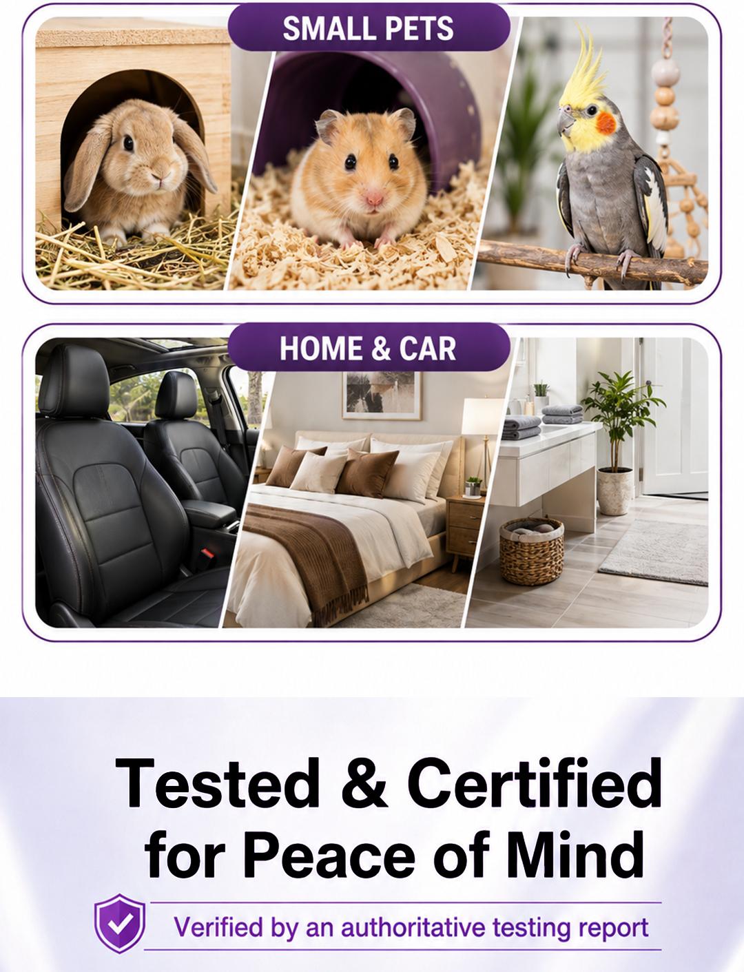Pet odor and stain cleaning result