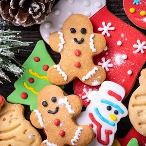 Kasmoire Christmas Cookie Cutter Set-12Pcs Stainless Steel Cookie Molds-Snowman,Christmas Tree,Gingerbread Man,Candy Cane,Snowflake & More Shapes for Baking