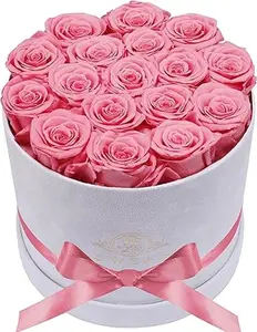 17 Flowers in a Luxury Suede Box, Birthday Gifts for Women, Real Preserved Flowers, Mothers Day Roses Gift for Mom, Light Pink Decor Decorative