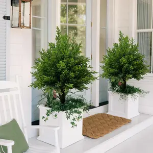 Bonsai Garden Decor