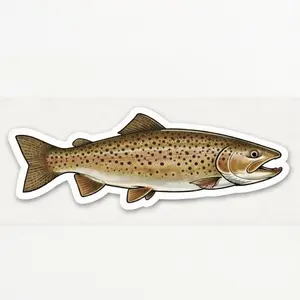 Brown Trout Sticker - 3" x 1.5"