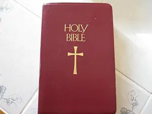 USED-Holy Bible: The New American Bible, 9053NBG by Catholic Bible Press (Unknown)