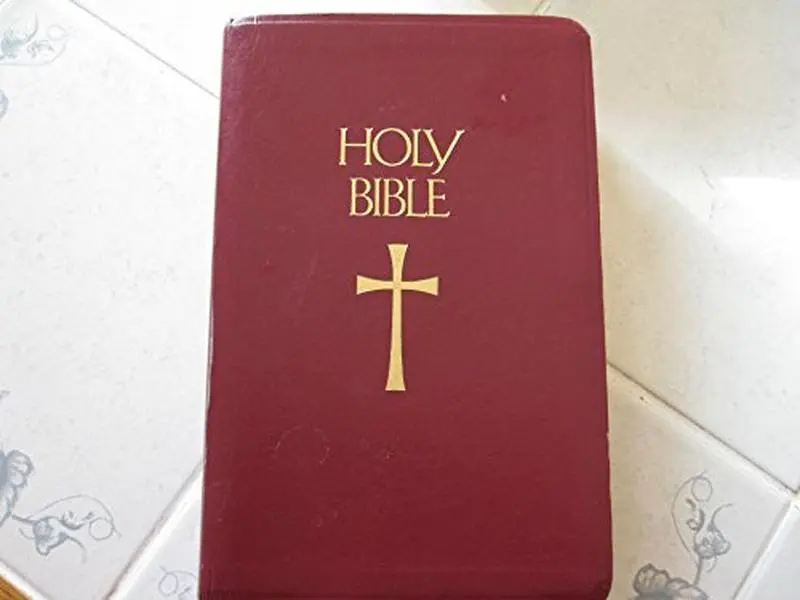 USED-Holy Bible: The New American Bible, 9053NBG by Catholic Bible Press (Unknown)