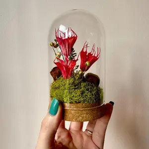 Large Glass Cloche Terrarium Floral Diorama Potion Jar Flower Arrangement for Valentine's Day With Real Mosses and Red Dried Flowers