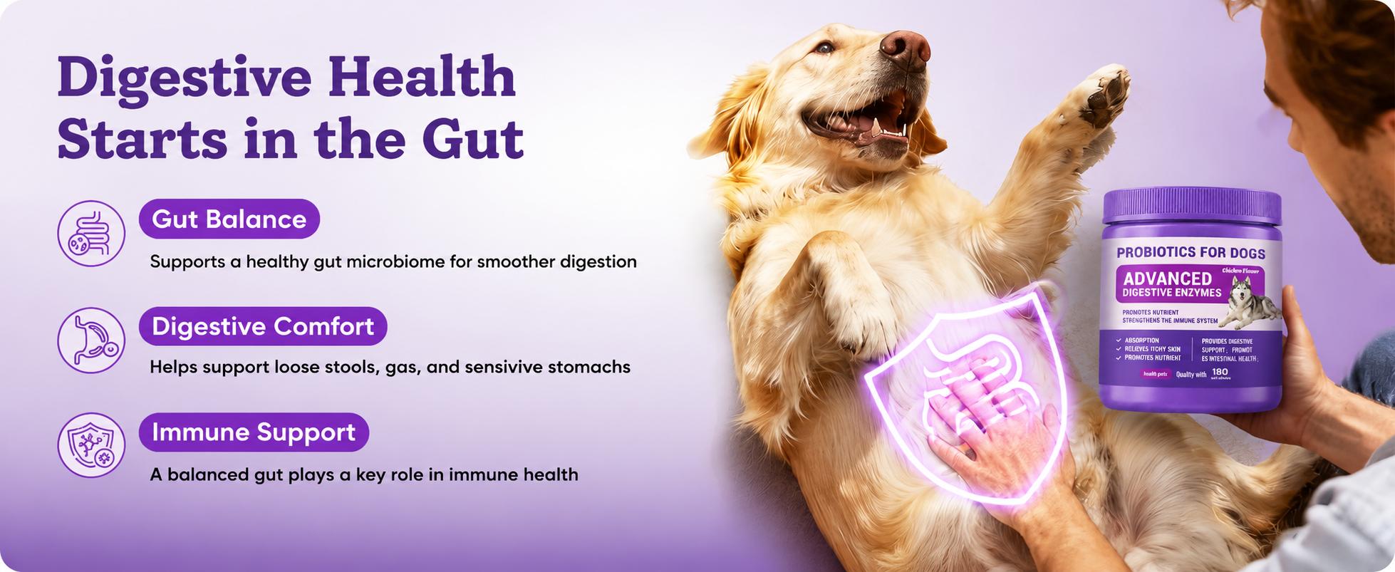 180ct Probiotics for Dogs – Probiotic and Prebiotic Soft Chews for Digestion, Gut Balance, Stool Quality & Immune Support, 4-Strain Blend with FOS, GOS & Organic Inulin, Chicken Flavor