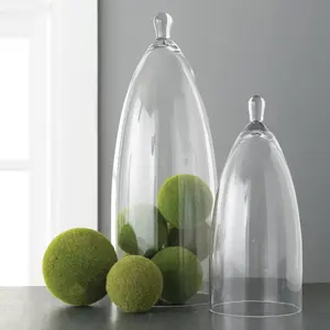 Clear Glass Cloche