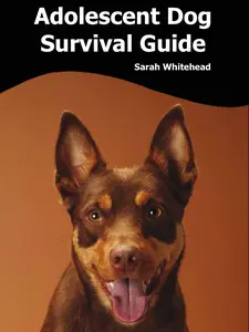Adolescent Dog Survival Guide