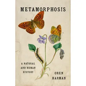 Metamorphosis