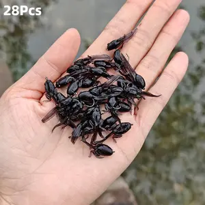 28Pcs/box Bionic Frog Lures, Floating Soft Baits, Durable Single Hook Design, Highly Realistic & Bite-Resistant, Ideal for Freshwater & Saltwater Fishing