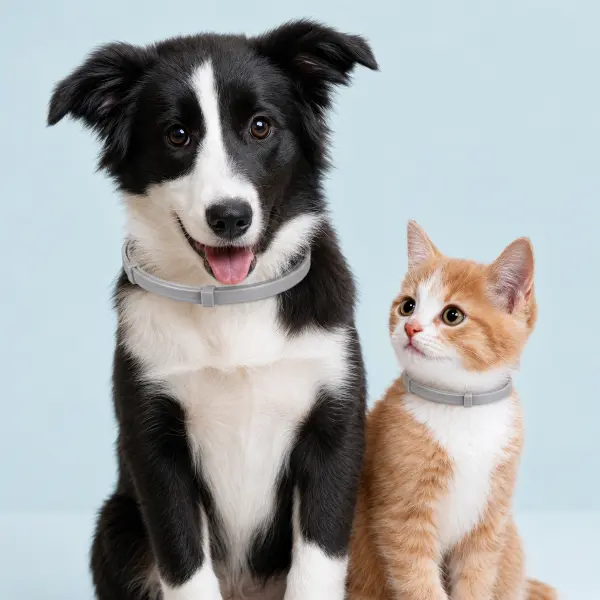 Fresh Scent Adjustable Dog and Cat Collar, Soft Lightweight Pet Collar for Everyday Wear, Travel, Walks and Outdoor Activities