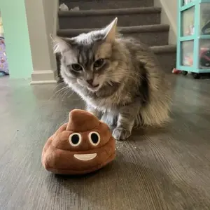 Funny Poop Plush Toy Pet Toy Unique Shape, Soft Stuffed Animal for Kids and Pets, Perfect Gift Idea for Playtime Fun