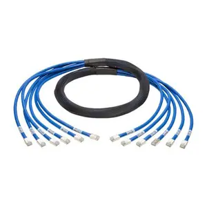 Tripp Lite N261-010-6MM-BL Cat 6 & 6A Copper Bundle Patch