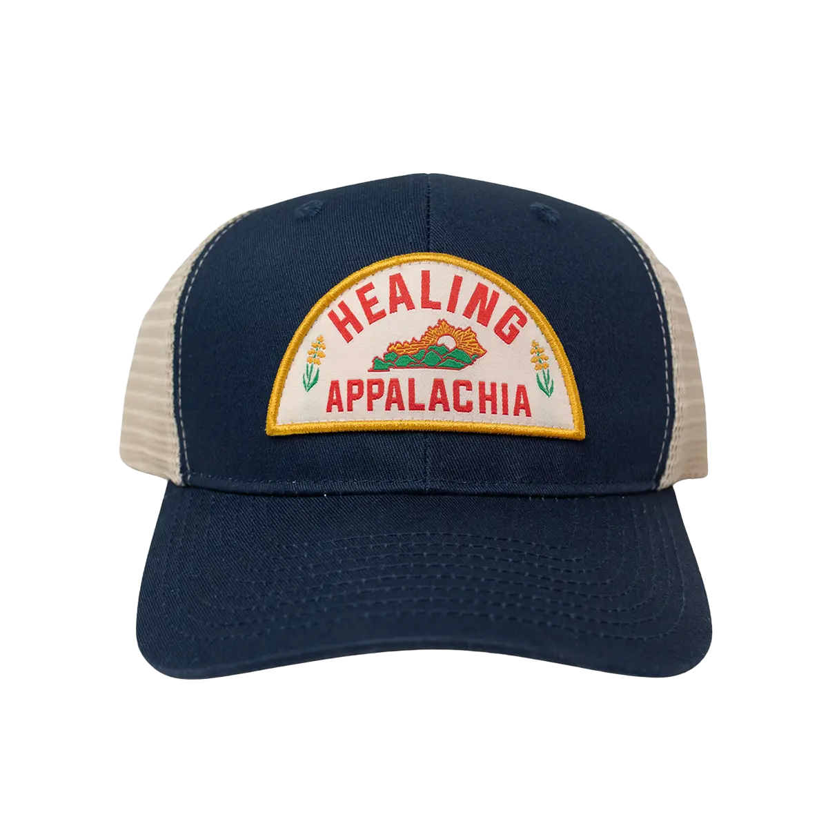 Healing Appalachia 6 Panel Hat
