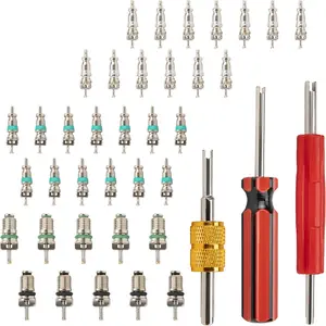 Air Conditioning Valve Core Accessories Kit, R12 R134a Refrigeration Schrader Tire Valve Stem Cores with Single & Dual Heads Valve Core Remover Installer Tool, HVAC System Seal Caps Kit