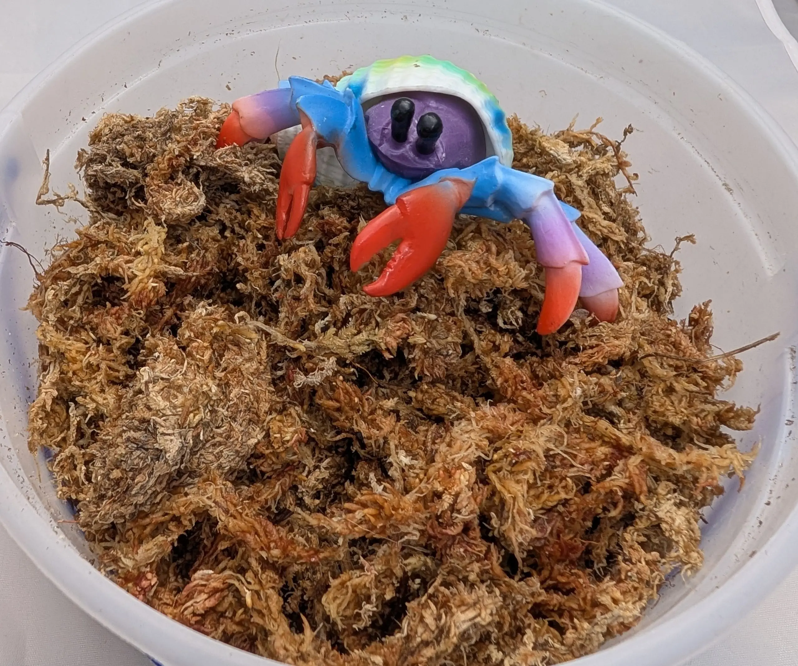 Dry Sphagnum Moss for Hermit Crabs Small | Natural Humidity & Foraging Enrichment
