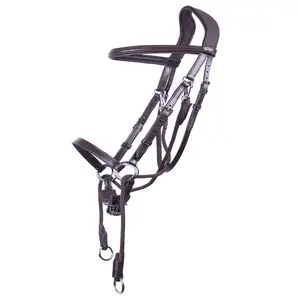 Ceto Multiway Bitless Bridle
