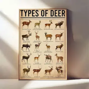Types of Deer Poster, Vintage Deer Wall Art, Wildlife Education, Gifts for Hunters & Nature Lovers, Rustic Cabin Decor