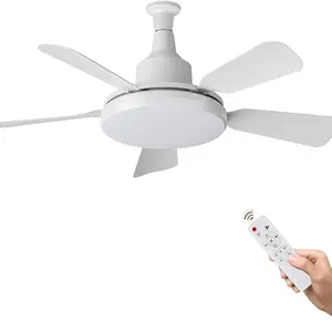 24-Inch Remote Control Socket Fan Light, Portable Mini Ceiling Fan with Lamp, Adjustable Brightness, 1000 Lumens, for Bedroom, Kitchen, Living Room