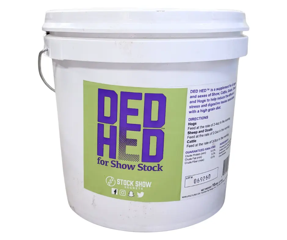 Ded Hed