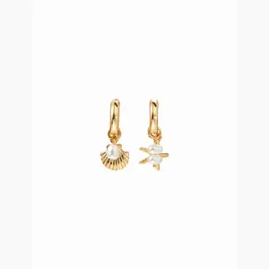 Cider SHELL & STARFISH DROP EARRINGS