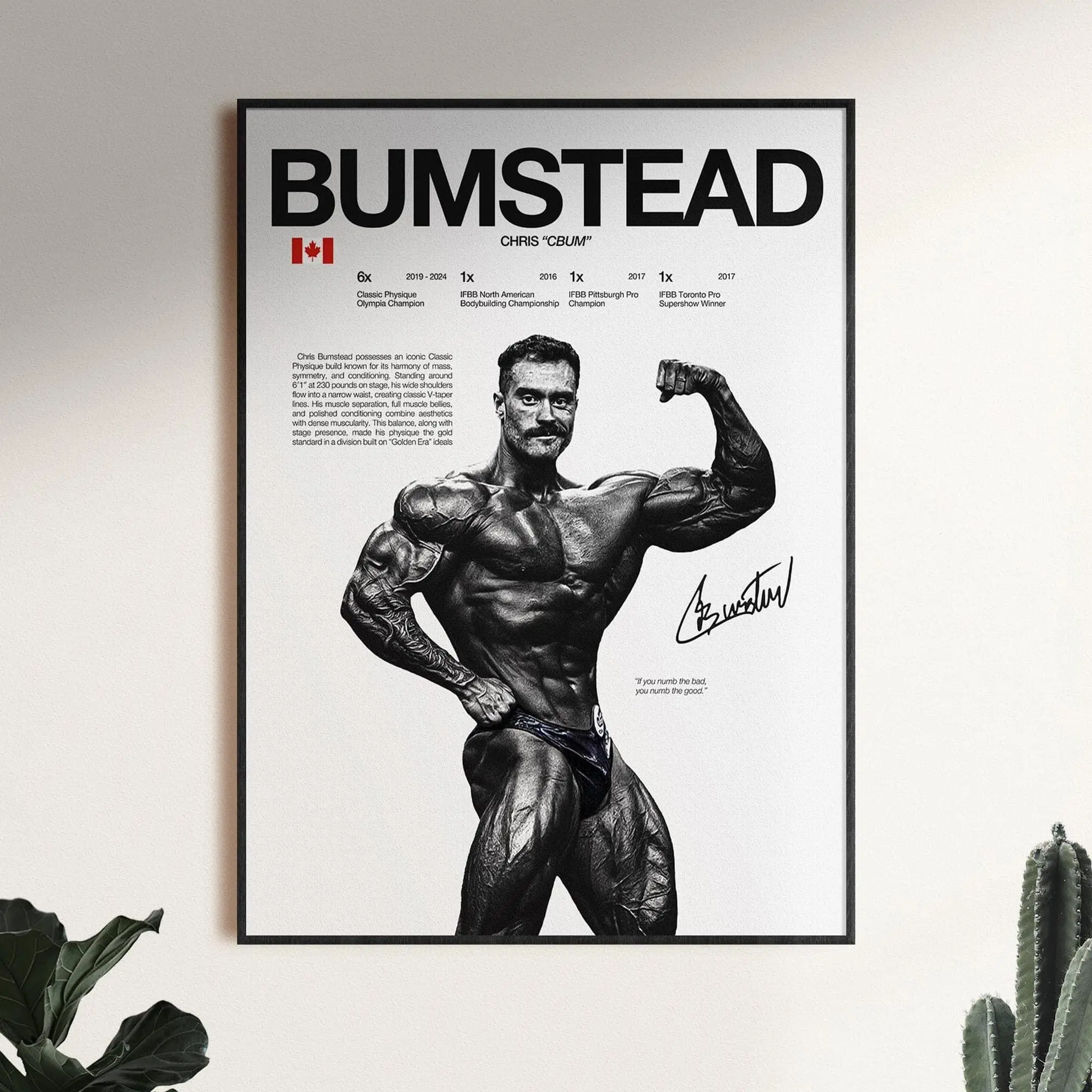 Chris Bumstead Poster, Bodybuilding Wall Print, Mr Olympia Poster, Gym Fitness Motivation Decor Gift( Unframed - Print Only )